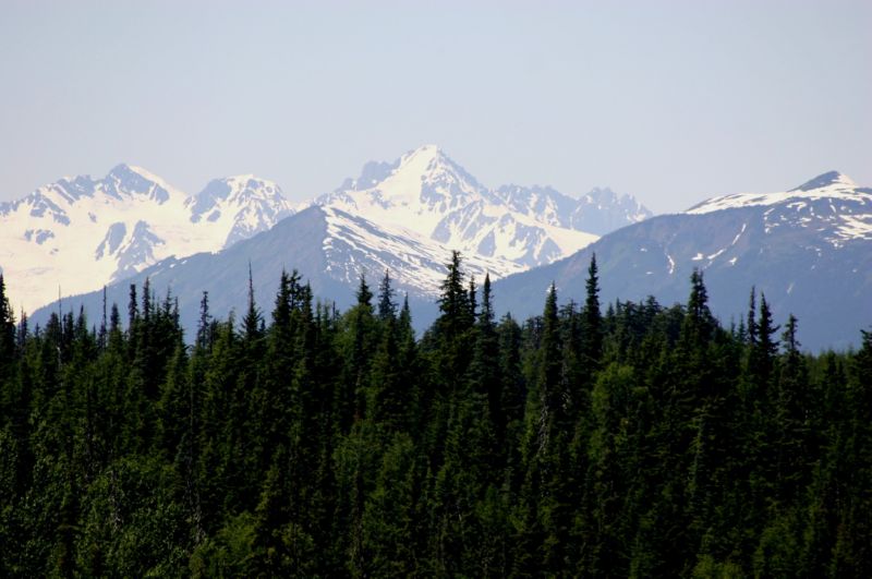 062004 P Rupert to Hyder AK (10143)